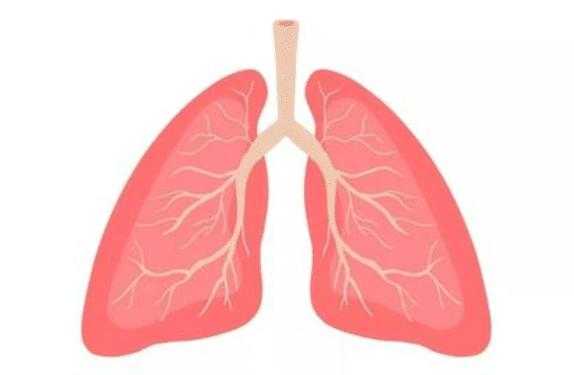  为什么肺热「为什么肺热会转给大肠」