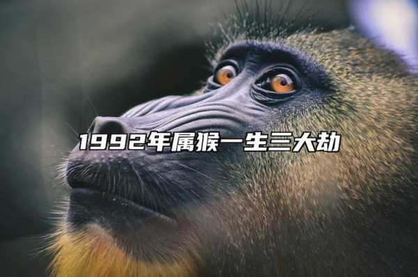 1992年是什么猴,1992年是什么猴子 